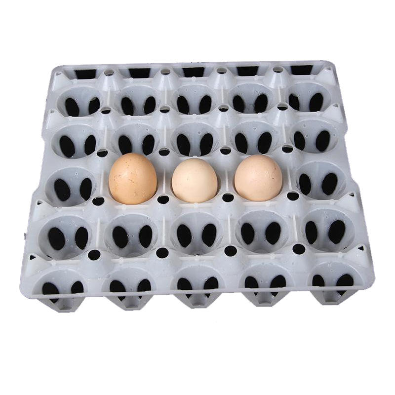 Customized Plastic Cetakan Eater Egg Molds Egg Tray Injection Mold