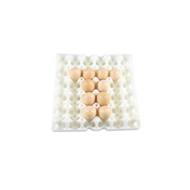 Customized Plastic Cetakan Eater Egg Molds Egg Tray Injection Mold